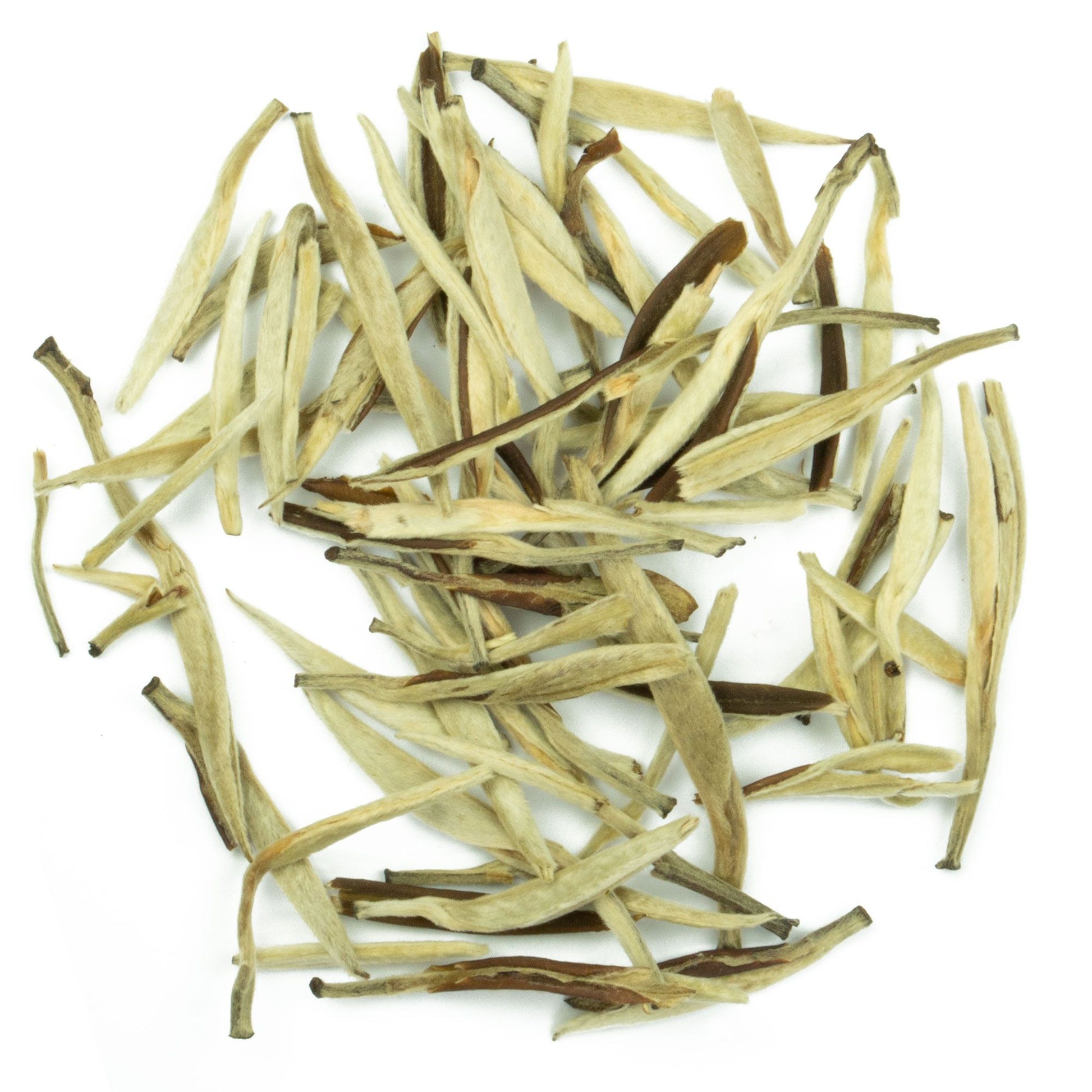 Jasmin Silverneedle