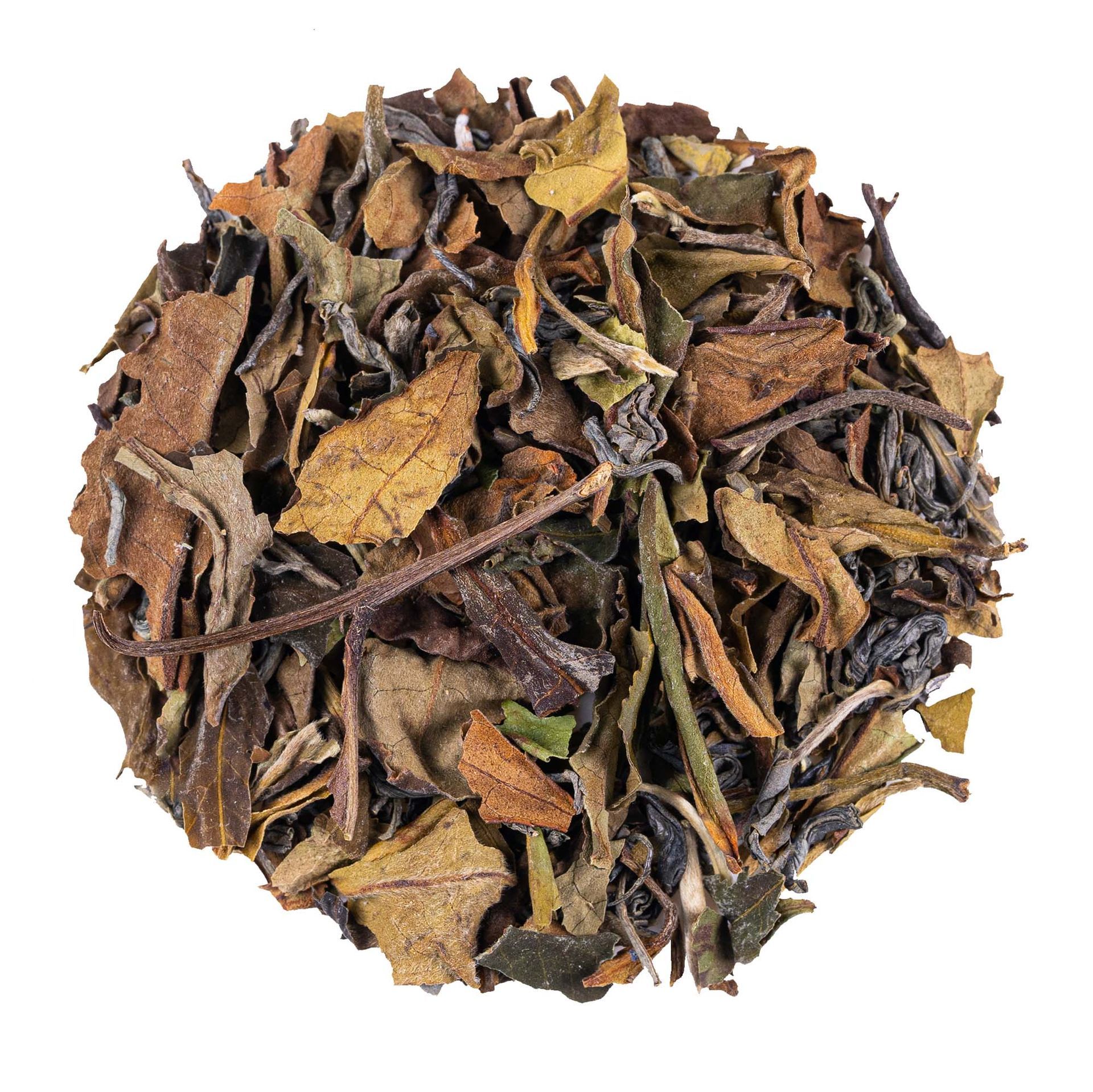Vanilla Lavender Harmony
