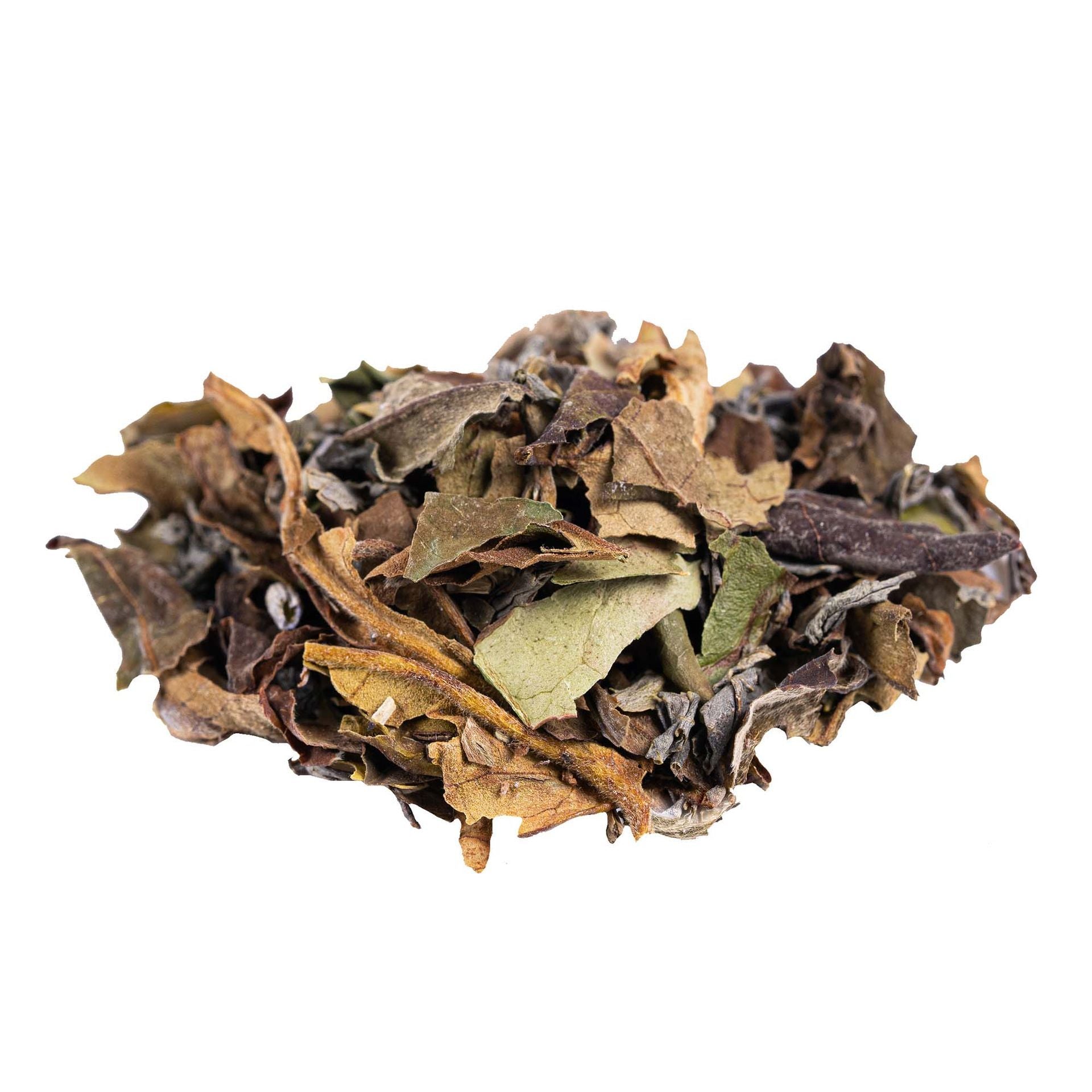 Vanilla Lavender Harmony